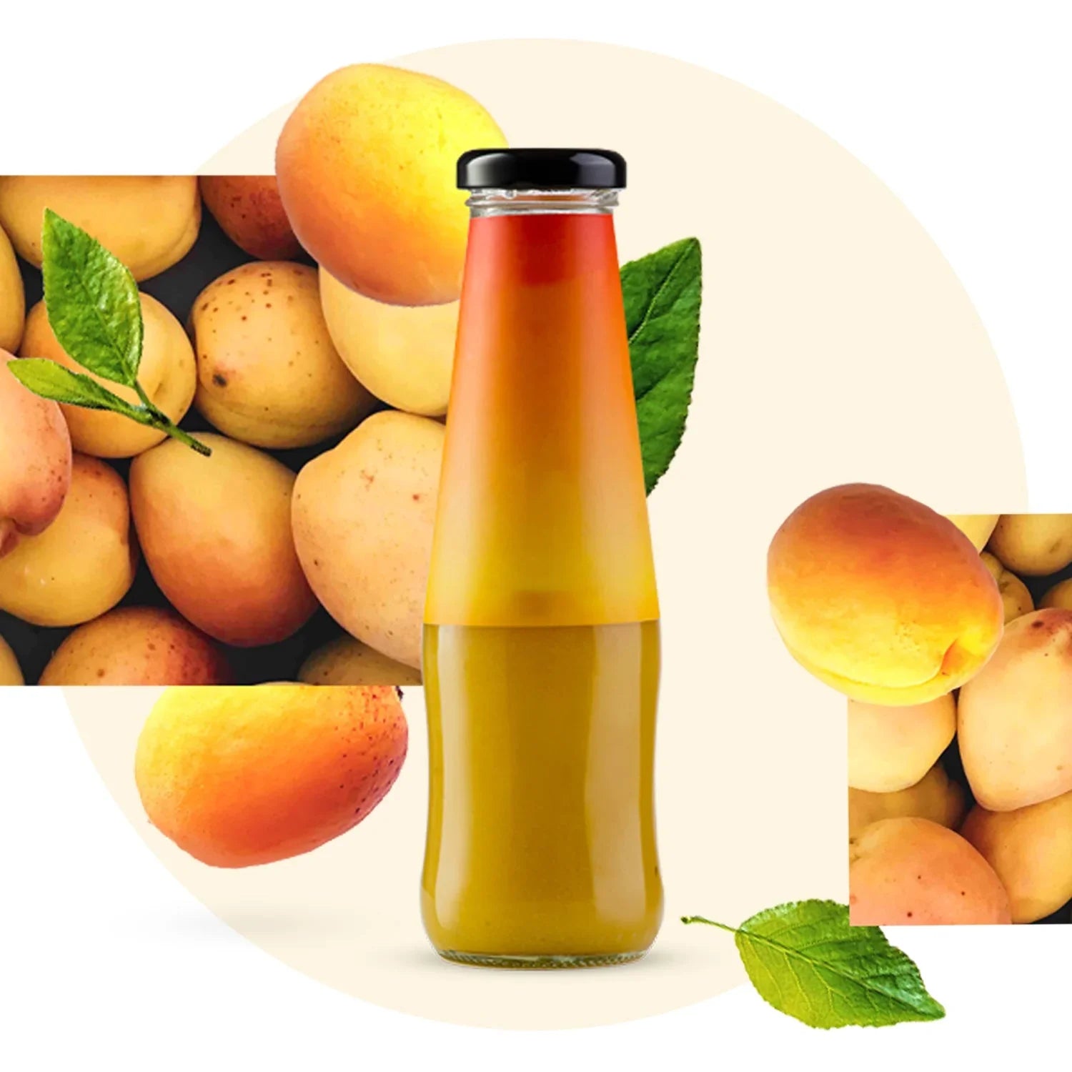 Shop fresh daily foods organic foods for a healthy lifestyle. Natural, chemical-free ingredients perfect for nutritious meals and everyday family use.